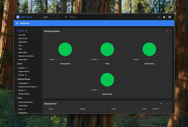 Raspberry Pi Kubernetes Cluster